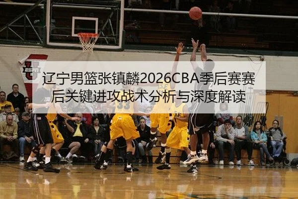 liao-ning-nan-lan-zhang-zhen-lin-ji-hou-sai-sai-hou-guan-jian-jin-gong-zhan-shu-fen-xi-yu-shen-du-jie-du-2-280.jpg